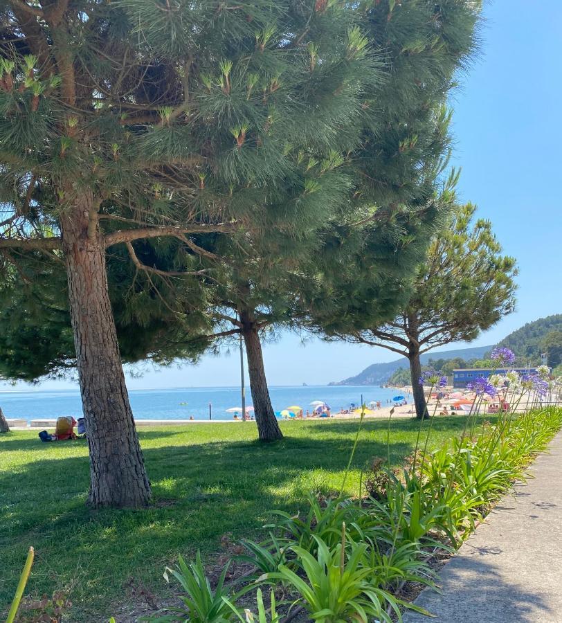Seaside Glow Setúbal Dış mekan fotoğraf